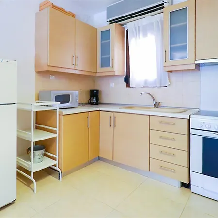 Apollonas Beachfront 1 Semesterbostad