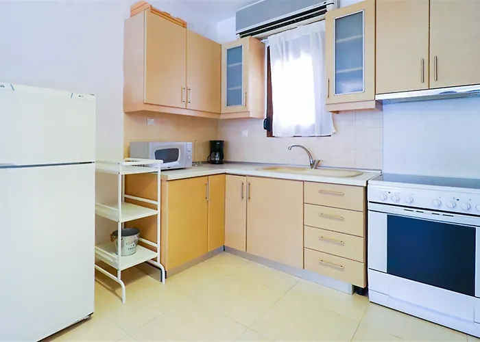 Apollonas Beachfront 1 Case de vacanță